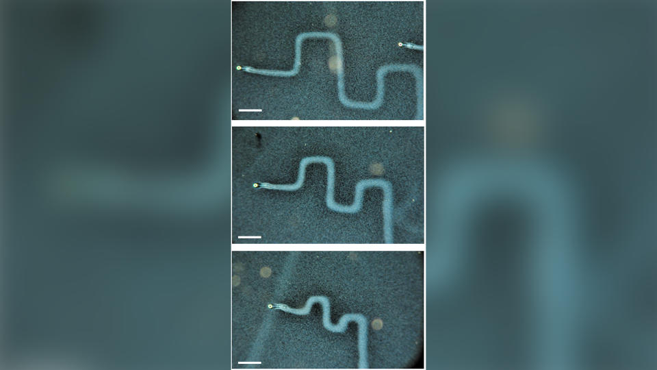 Successive downscaling of pattern size. The length of the horizontals is 500 µm (a), 350 µm (b), and 175 µm (c).