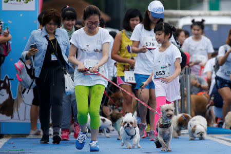 People run with their pets during a mini-marathon for dogs in Bangkok, Thailand May 7, 2017. REUTERS/Jorge Silva