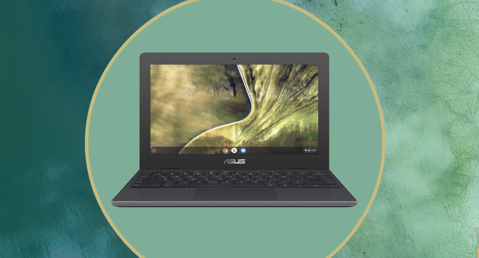 asus chromebook laptop with green landscape on screen