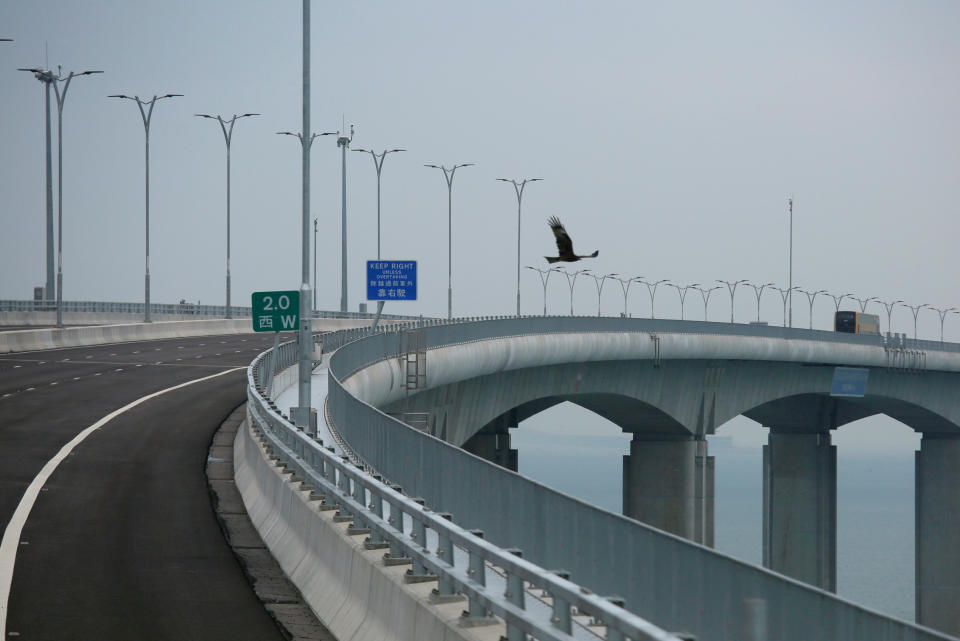 <p>A bird flies over the Hong Kong side of the Hong Kong-Zhuhai-Macau bridge on October 19, days before its opening. (Reuters) </p>