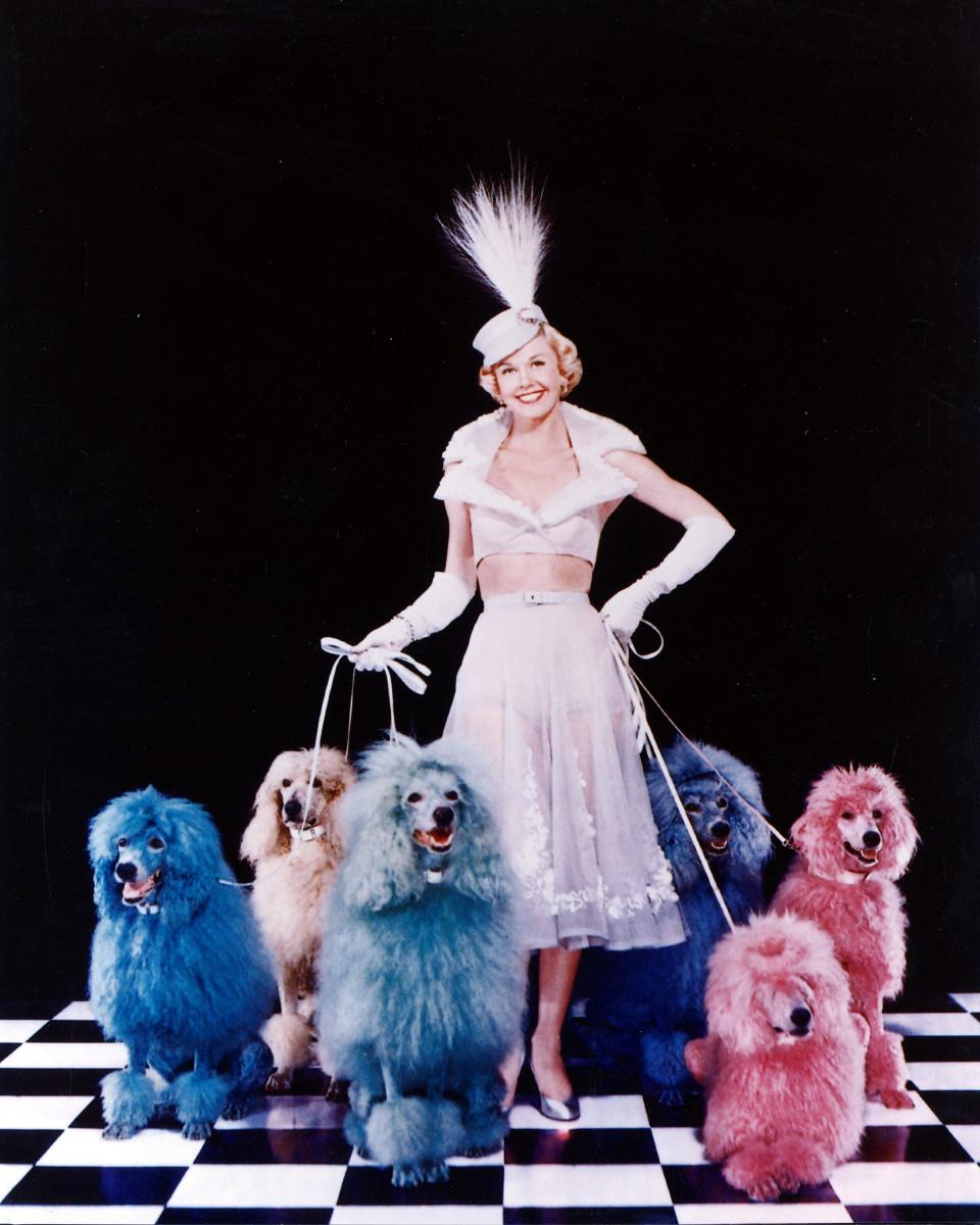 Day poses with multicolor poodles in an image that originally ran on the cover of Collier's magazine in 1952