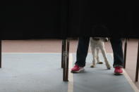 A voter fills out his ballot accompanied by his dog at a polling station during the Constitutional Convention election to select assembly members that will draft a new constitution, in Santiago, Chile, Saturday, May 15, 2021. The face of a new Chile begins taking shape this weekend as the South American country elects 155 people to draft a constitution to replace one that has governed it since being imposed during a military dictatorship. (AP Photo/Esteban Felix)