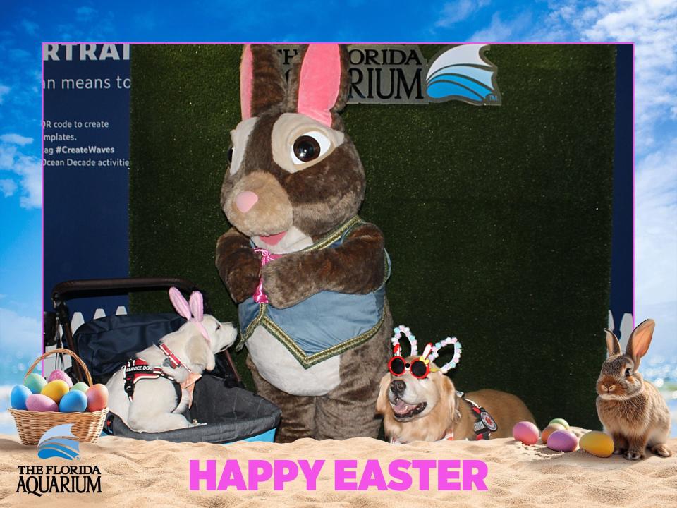 The Florida Aquarium and the Easter Bunny