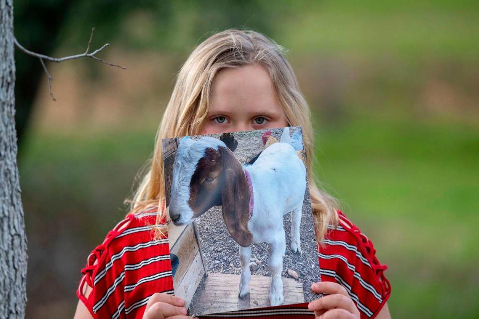 Jessica Long’s daughter holds a photo of her goat Cedar on in March at Minder Park in Redding before the family pet was seized by sheriff’s officials and taken to slaughter.