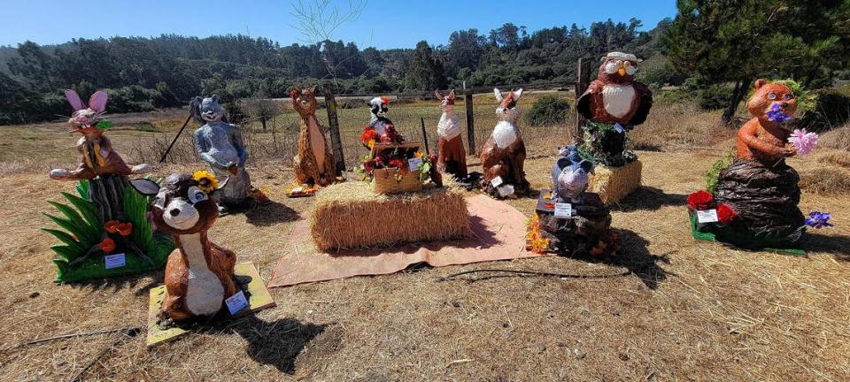 Scarecrow sculptures are on display in Cambria and San Simeon, California, in October 2023. The display was named “Picnic Cambria Style” and the scarecrows were created by Tish Rogers Woodland Animals Sculpture workshop.