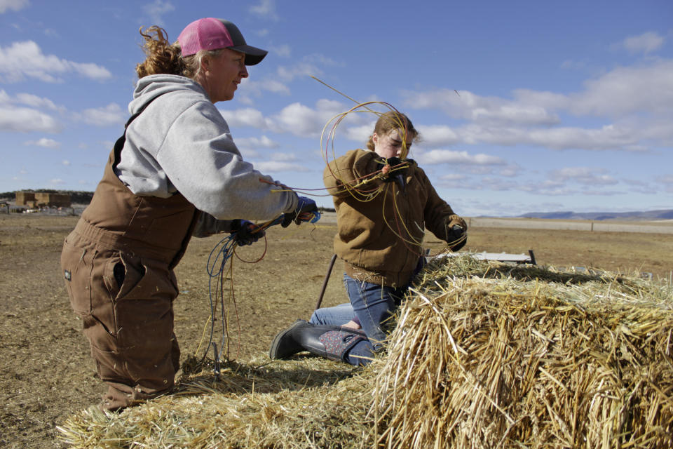 FILE - In this March 2, 2020, file photo, Erika DuVal and her daughter Helena prepare to toss hay bales to cattle from the back of a truck at their farm in Tulelake, Calif. The Klamath Basin, a vast and complex water system that spans Oregon and California, is in the throes of the worst drought in recorded history, with water flows in the tributaries of the Klamath River that are as low as they have been in a century. Federal officials are expected to announce the water allocations for the season this week and it's possible that farmers might not get any water at all. (AP Photo/Gillian Flaccus, File)