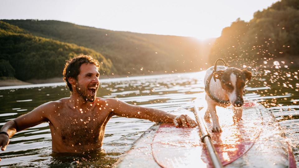 Dog on paddleboard