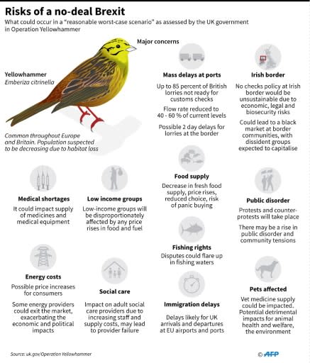 Key points from Britain's operation yellowhammer, the government's assessment of a worst-case scenario in a no-deal Brexit