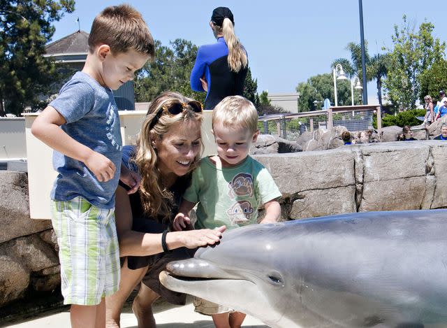 Mike Aguilera/Solent News/Shutterstock Sheryl Crow and her sons Wyatt and Levi meeting a 22-year-old bottlenose dolphin