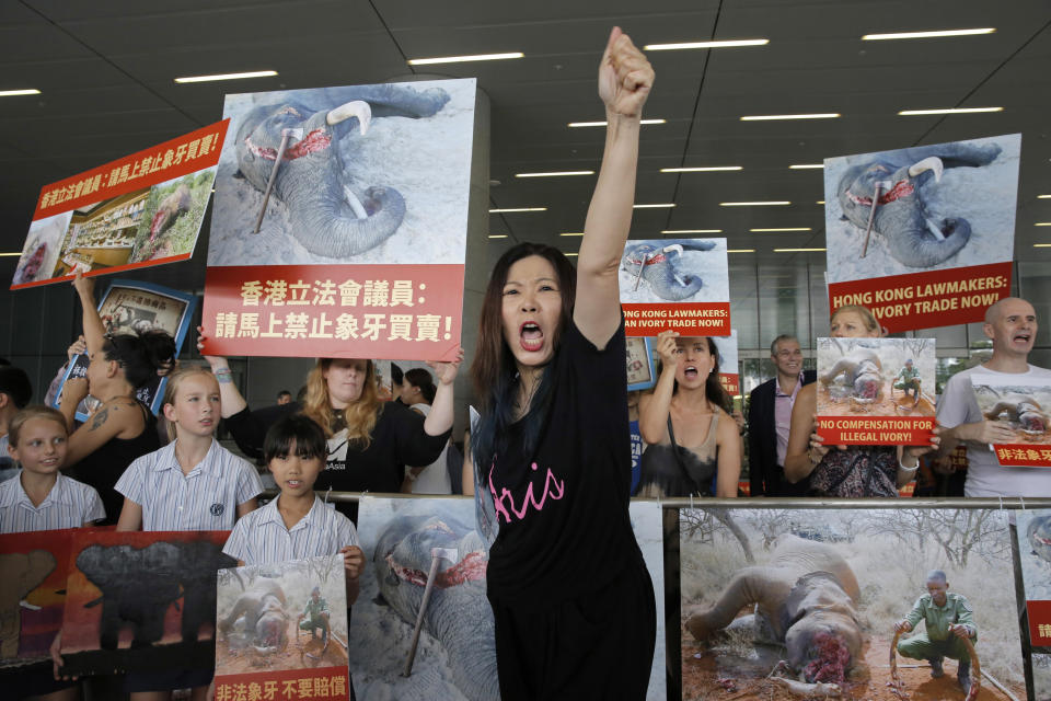 FILE - In this June 6, 2017, file photo, animal conservation activists hold pictures of elephants being killed for their ivory tusks, outside the Legislative Council in Hong Kong. Hong Kong customs officers have intercepted a record 8.3 tons of pangolin scales and hundreds of elephant tusks worth more than $8 million combined, underscoring the threat to endangered species from demand in Asia. (AP Photo/Kin Cheung, File)