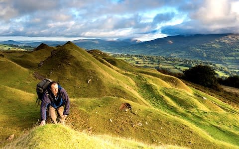 The heaps are covered in grass and limestone herbs - Credit: Getty