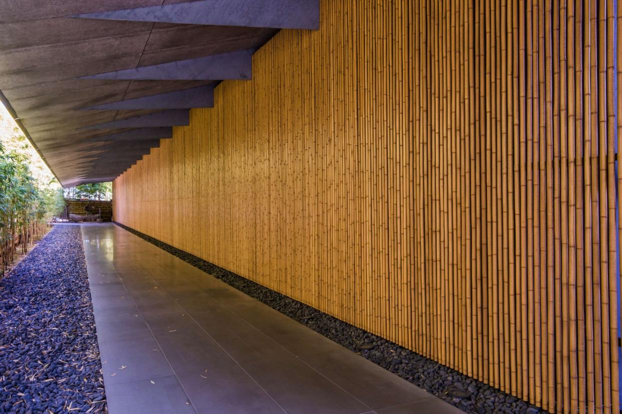 bamboo entrance to nezu museum which contains an extensive