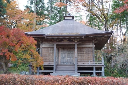 【右上就愛日本旅遊】【日本東北-岩手】東北賞楓疾行（D8-3）中尊寺金色