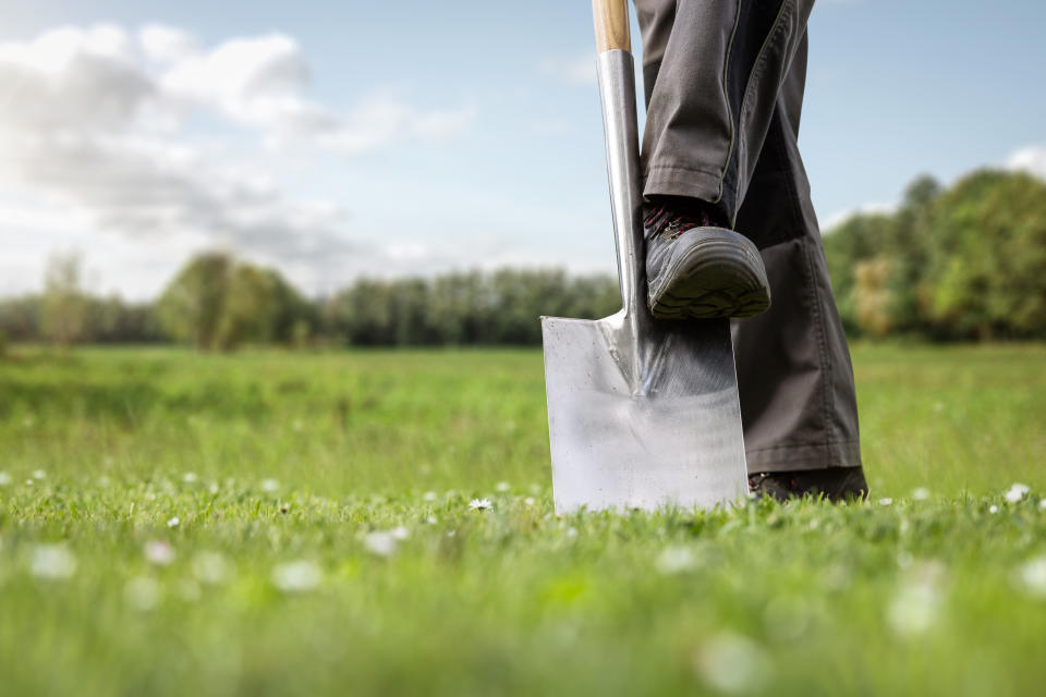 Spaten sticht in grüne Wiese