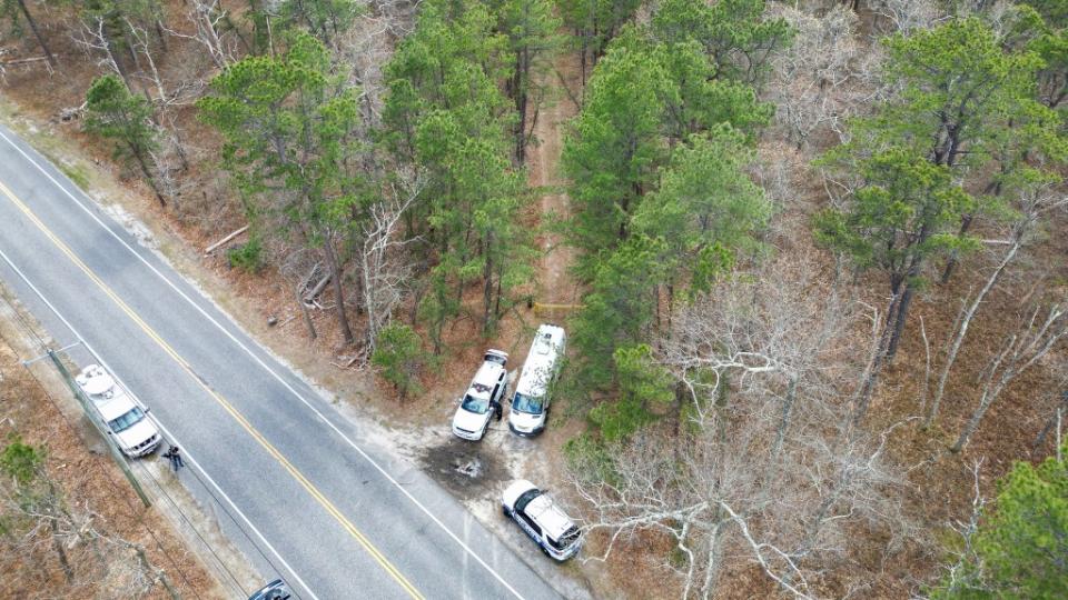 Another aerial view of the search area. Dennis A. Clark