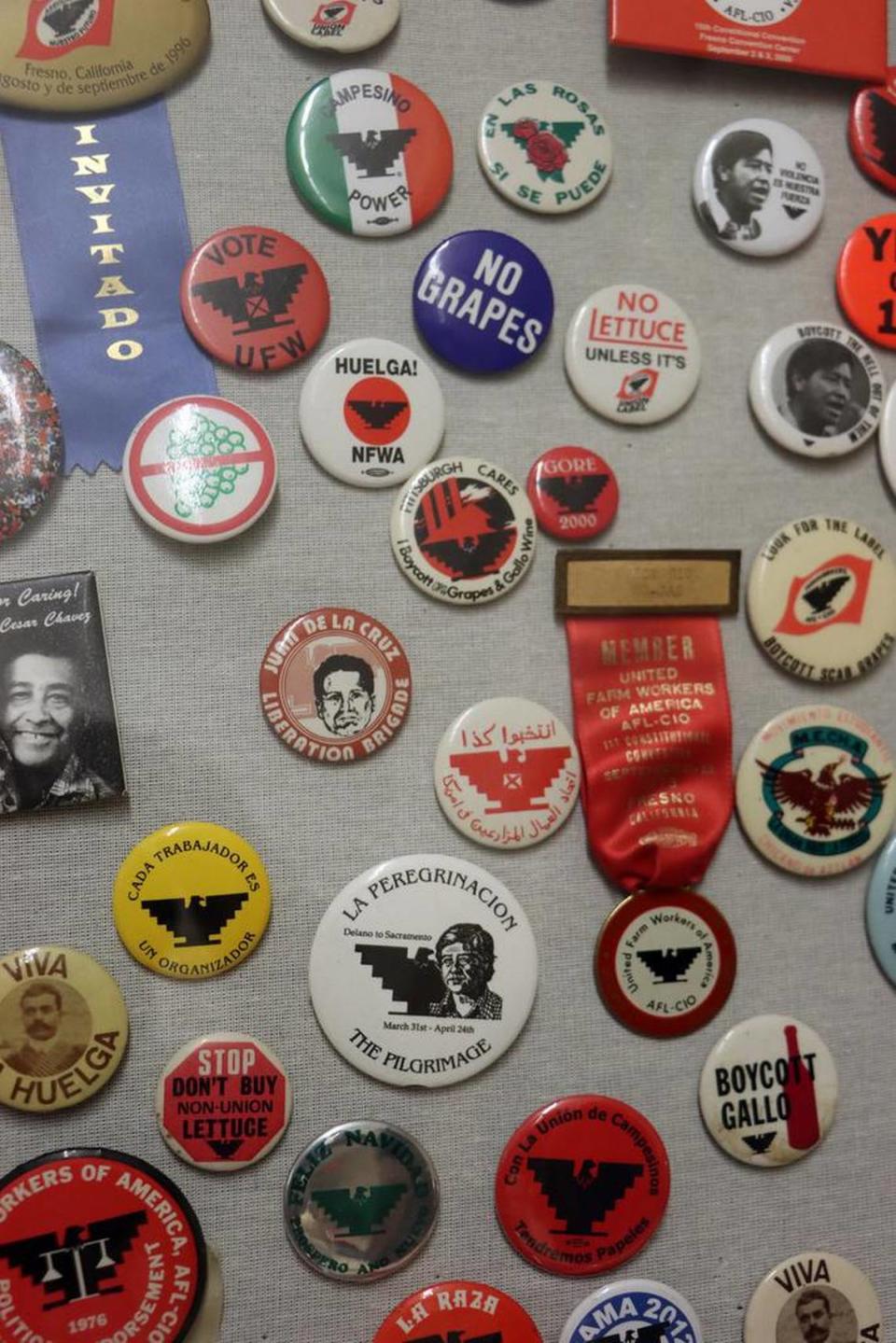 A collection of UFW buttons was displayed at the 50th anniversary commemoration of the United Farm Workers grape strike at Fresno City College on Aug. 19, 2023.