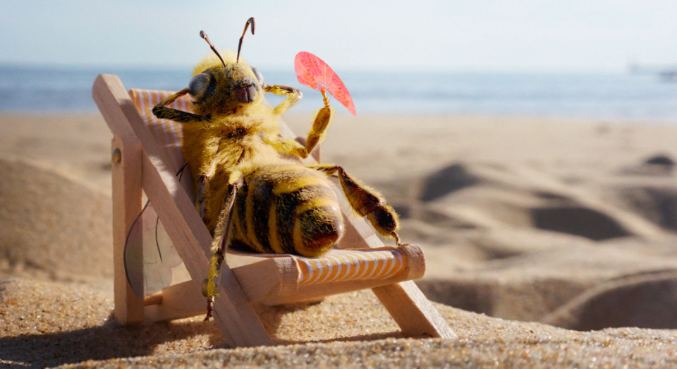 This bee has the coolest job ever. [Photo: SWNS]