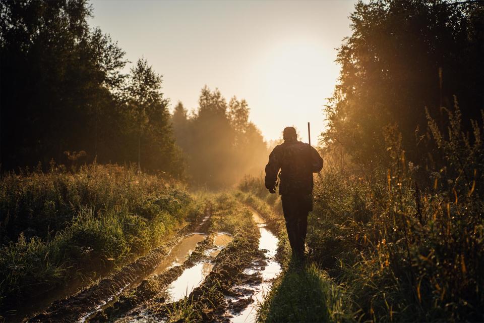 a man walks down a marshy road holding a rifle