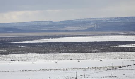 Roads and pasture land dot the Malheur National Wildlife Refuge outside Burns, Oregon January 30, 2016. REUTERS/Jim Urquhart