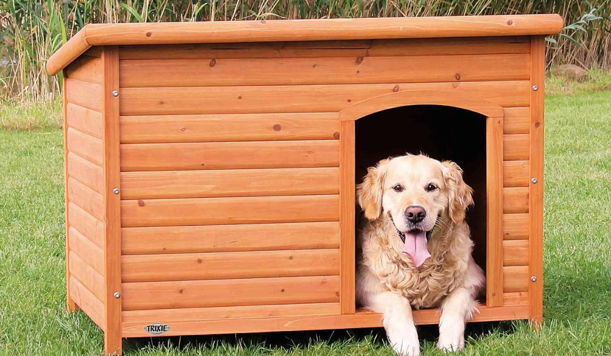 Outdoor pet houses