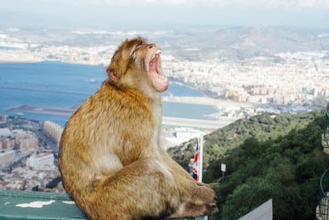 Don't let the serenity fool you - there's not much space on Gibraltar - Credit: This content is subject to copyright./Michael Zwahlen / EyeEm