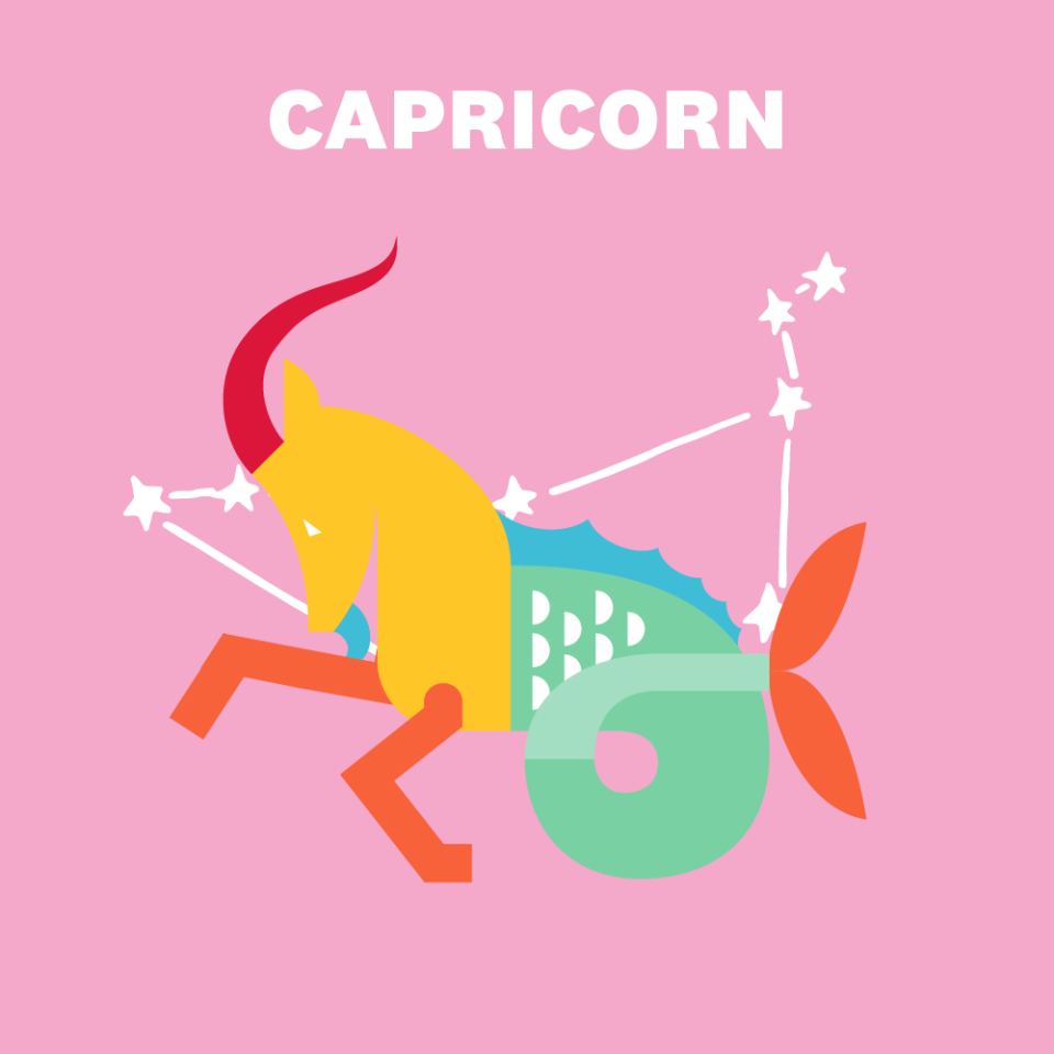 CAPRICORN (DECEMBER 22–JANUARY 19)