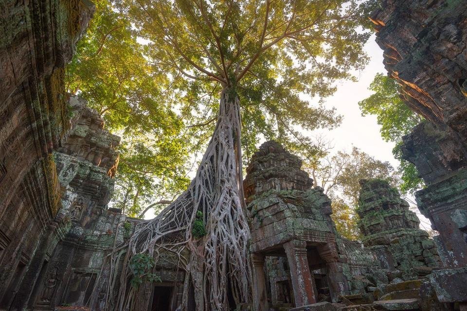 Siem Reap Province, Cambodia