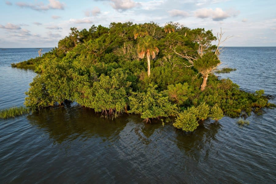 Sweetheart Island, off the coast of Yankeetown, Fla., is seen on Aug. 5, 2023. While Patrick Parker Walsh’s private island ranks among the most unusual purchases by pandemic fraudsters, his crime was not unique. He is one of thousands of thieves who perpetrated the greatest grift in U.S. history. They potentially plundered more than $280 billion in federal COVID-19 aid; another $123 billion was wasted or misspent. (AP Photo/Julio Aguilar)