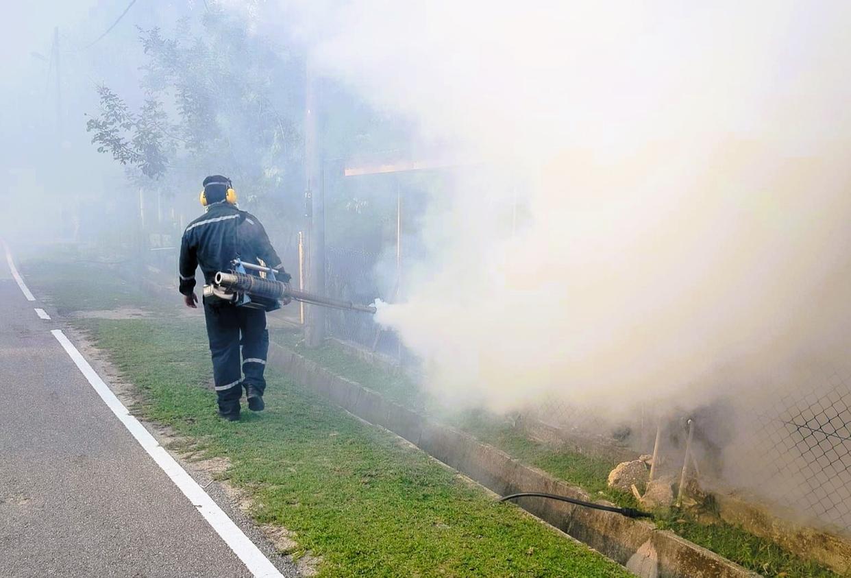 ‘Fogging ineffective against dengue, but vaccinations can reduce symptoms, deaths’