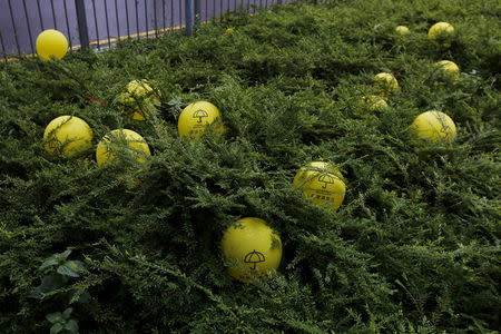 Yellow balloons featuring umbrellas, symbol of the Occupy Central movement, are left by pro-democracy protesters camping outside government headquarters in Hong Kong, China June 24, 2015. REUTERS/Bobby Yip