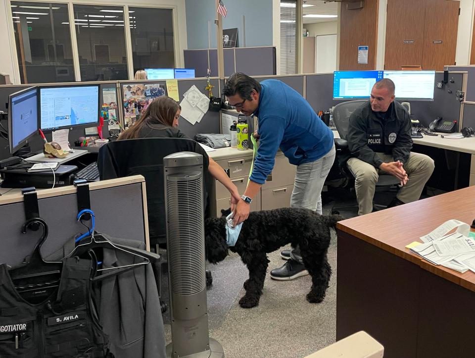 Asher, a therapy comfort dog recently adopted by the Ventura Police Department, greets staff members during a walk-through with handler Roger Wang at department headquarters on Monday.