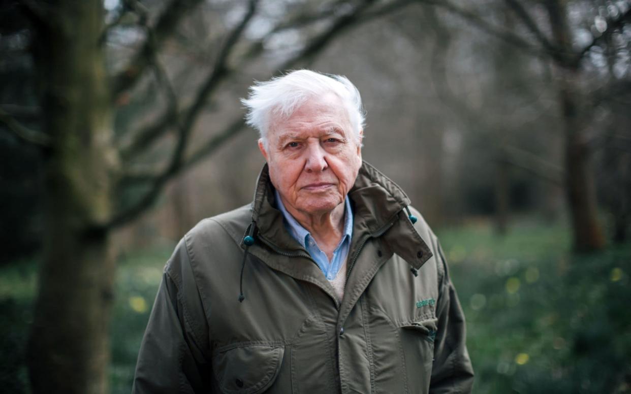 Sir David Attenborough a natural choice to front a new 5g app  - BBC 