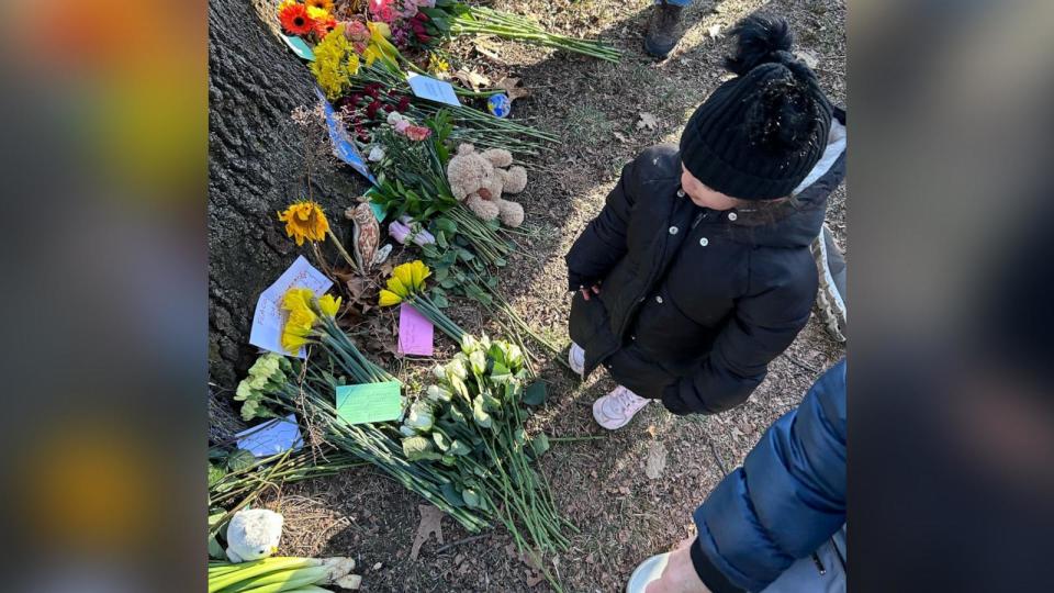 PHOTO: A 3-year-old mourner named Riley pays respects on Feb. 24, 2024, at a growing memorial for Flaco the owl in New York City's Central Park.  (Bill Hutchinson/ABC News)