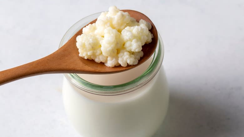 kefir fermented dairy