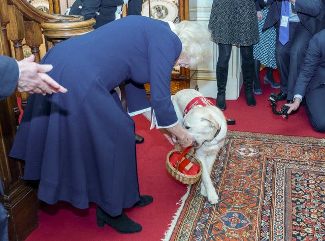 Camilla at a reception to mark the 15th anniversary of the Medical Detection Dogs charity