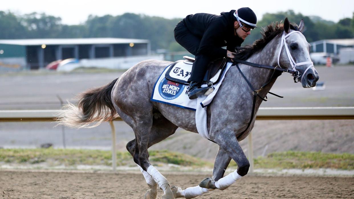  Tapit Trice and an exercise rider train on the track during morning workouts prior to the 155th running of the Belmont Stakes at Belmont Park on June 09, 2023 in Elmont, New York. 