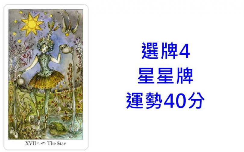 本次塔羅牌使用《寶琳娜塔羅Paulina Tarot》美國遊戲公司U.S. Games Systems, Inc. 出版。