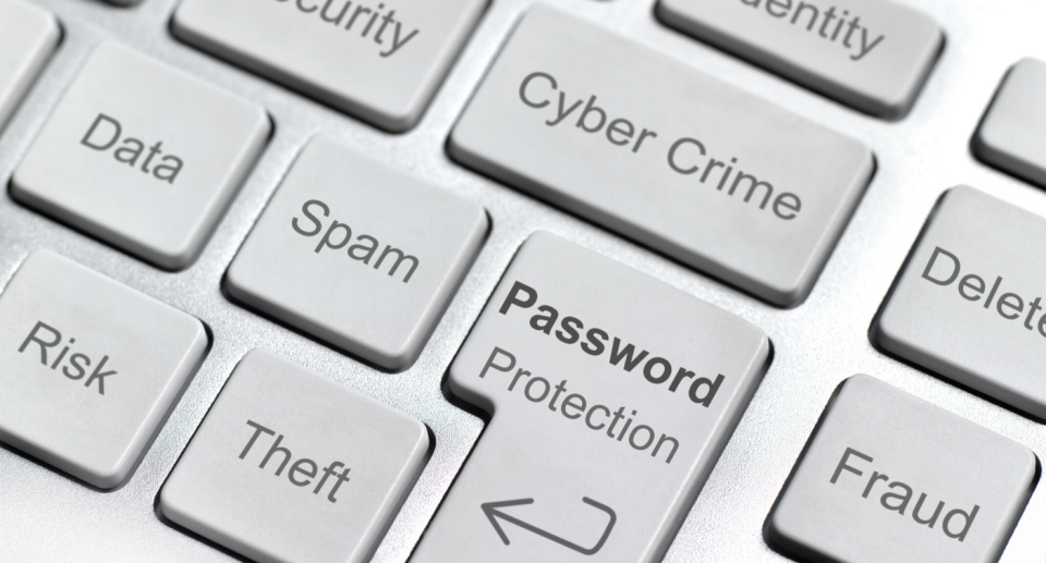 Expert tips to protect yourself from fraud this Cyber Monday