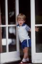 <p>A young Harry smiles for a photo at Highgrove House.</p>