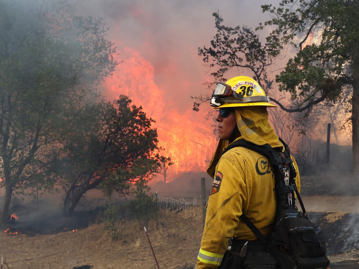 A Cal Fire firefighter in yellow uniform and hardhat stands in front of a forest fire