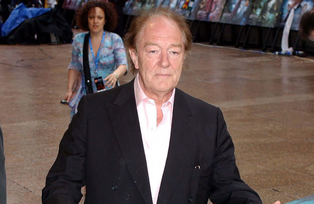 Rupert Grint has paid tribute to Sir Michael Gambon credit:Bang Showbiz