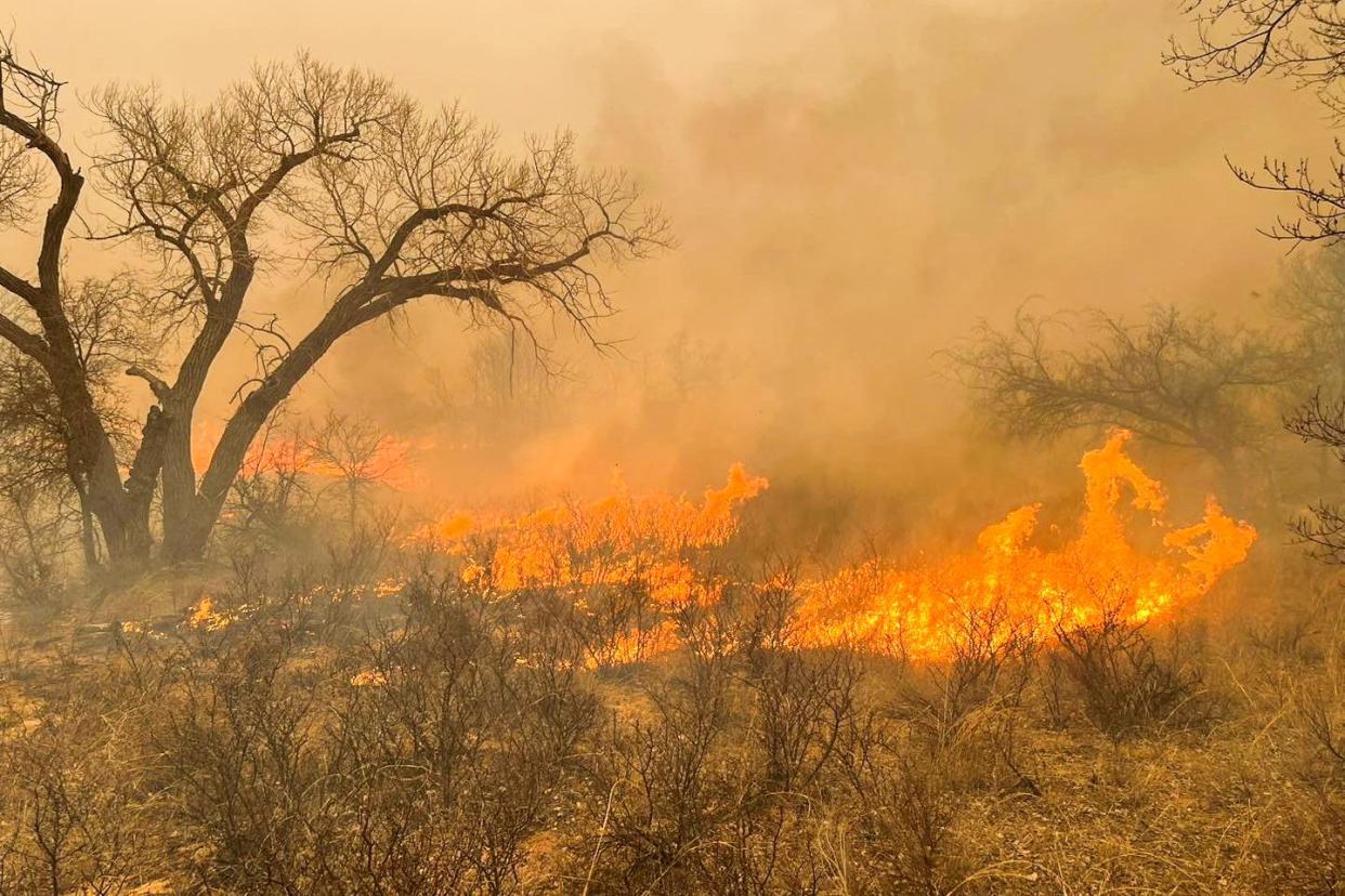 <span>A wildfire rages in Texas on Tuesday.</span><span>Photograph: Greenville Fire-Rescue via Reuters</span>