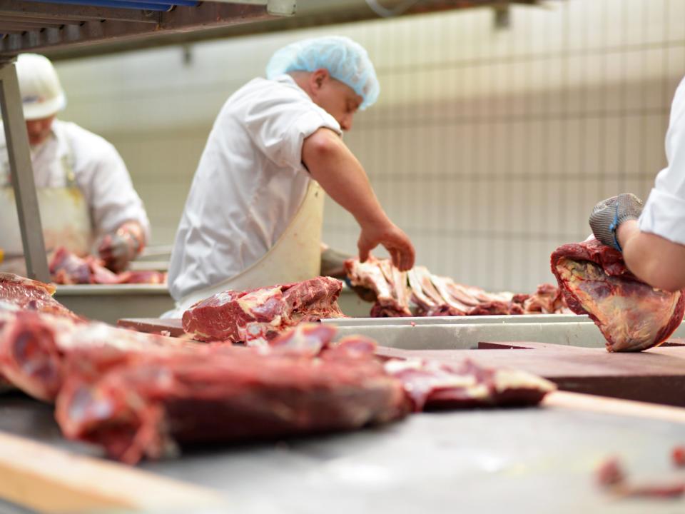 A meat industry chief has warned food production lines are ‘failing’ because of staff being forced to self-isolate  (Getty Images/iStockphoto)