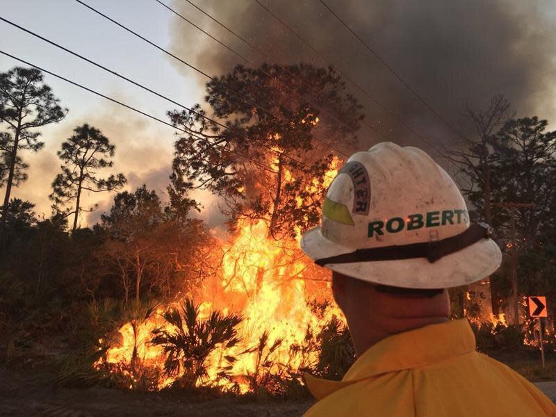 A Florida Fire Service official monitors a wildfire near Interstate 95 in New Smyrna Beach two years ago. After nearly a week of work, firefighters have contained a nearly 2,000 -acre fire in Tiger Bay Forest.