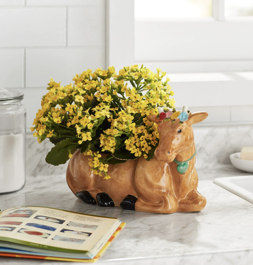 <p><a href="https://go.redirectingat.com?id=74968X1596630&url=https%3A%2F%2Fwww.walmart.com%2Fip%2FThe-Pioneer-Woman-Brown-Cow-Planter-Stoneware-6-Inch-Opening%2F828458452&sref=https%3A%2F%2Fwww.thepioneerwoman.com%2Fholidays-celebrations%2Fgifts%2Fg35730092%2Fcheap-affordable-mothers-day-gifts%2F" rel="nofollow noopener" target="_blank" data-ylk="slk:Shop Now;elm:context_link;itc:0;sec:content-canvas" class="link ">Shop Now</a></p><p>The Pioneer Woman Brown Cow Planter </p><p>walmart.com</p><p>$17.02</p><span class="copyright">Walmart</span>