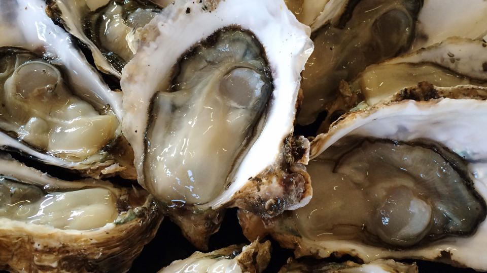 Florida man dies from virus after eating raw oysters