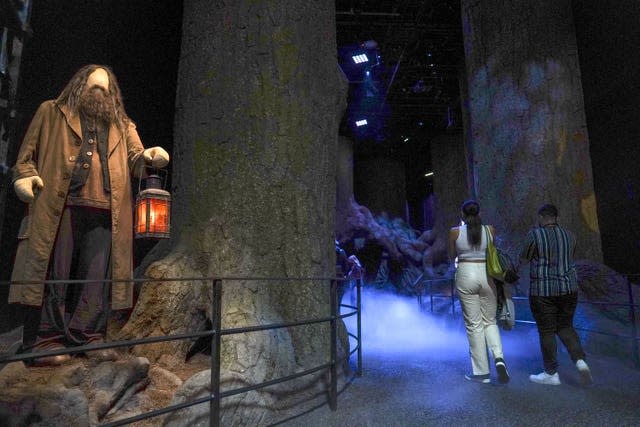 People look around sets at the Warner Bros. Studio Tour London (Steve Parsons/PA)