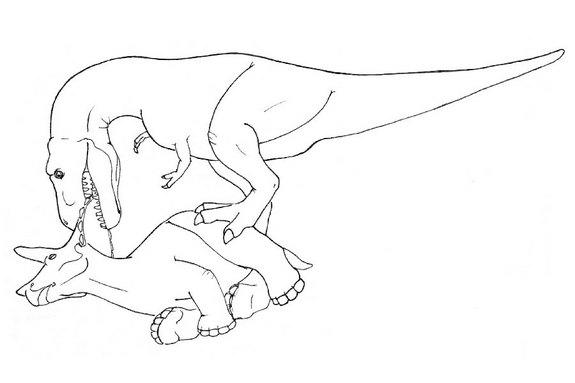 By analyzing bite marks on <em>Triceratops</em> specimens, researchers have figured out how a <em>T. rex</em> may have eaten the beast in four easy steps. Step one: Get a good grip on the bony frill.