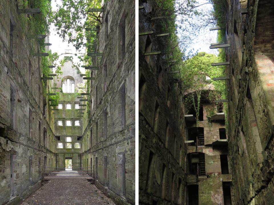 Dipytch Bodmin Jail Vegetation