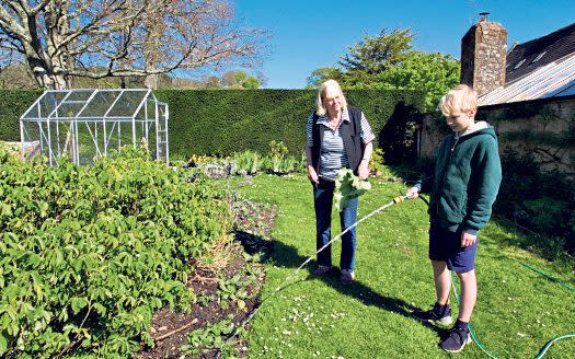 The Lady Sandwich watches Nestor watering the vegetable garden - Jay Williams 